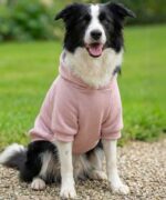 pink pig print  dog hoodie pink pp002