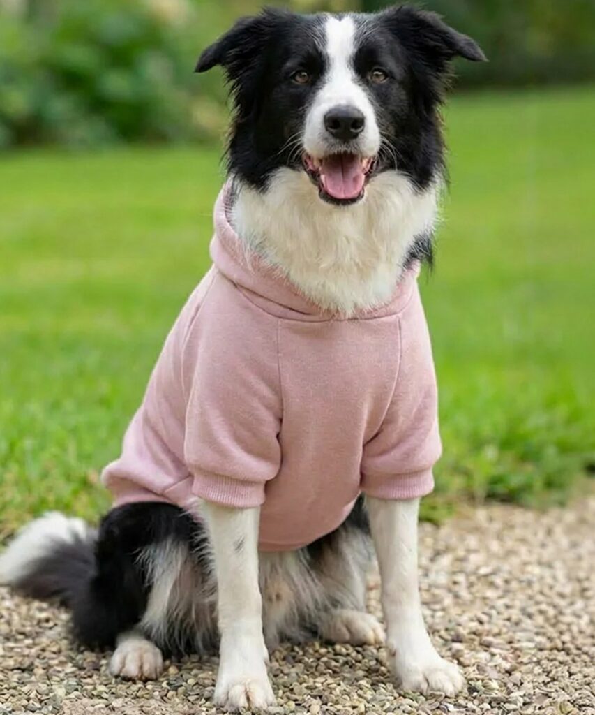 pink pig print  dog hoodie pink pp002