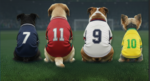 pink pig print  football 002