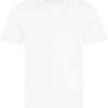 Arctic White